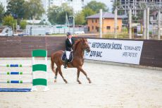 Кубок «ПЕЛИКАН-АВТО» по конкуру