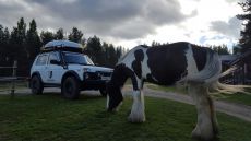 «ДИКАРИ» на LADA 4x4 покорили Север