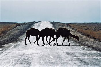 Экспедиция Восход. Последний рубеж