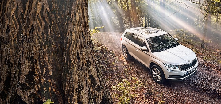Новый SKODA KODIAQ появится в России в июне Новый SKODA KODIAQ появится в России в июне