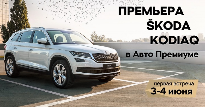 SKODA KODIAQ в «Авто Премиуме» - место встречи изменить нельзя!