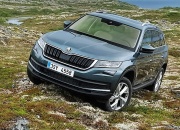 Skoda Kodiaq для России получит 1,4-литровый мотор