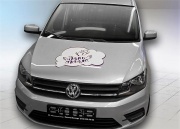 Новогодняя сказка Сигма Моторс и 5 Канала