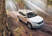 Новый SKODA KODIAQ появится в России в июне