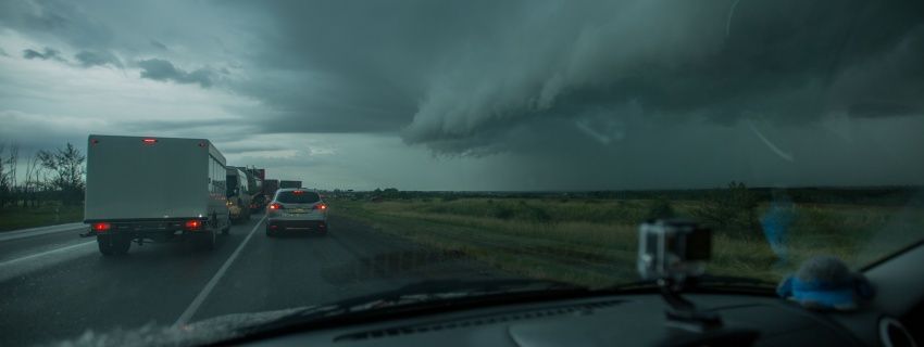 Каникулы ботаников