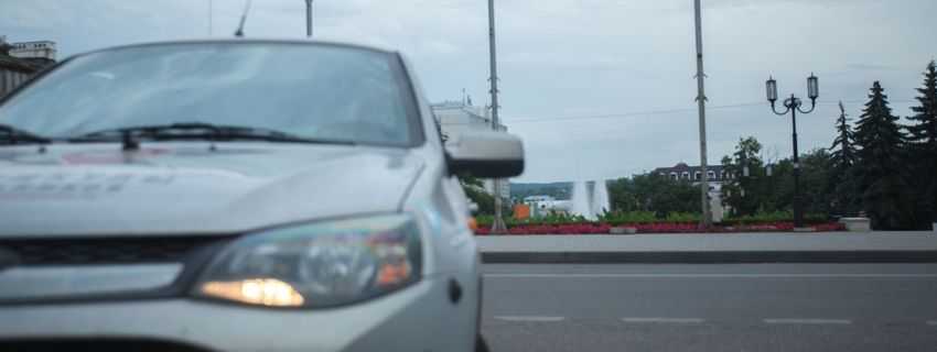 Каникулы ботаников