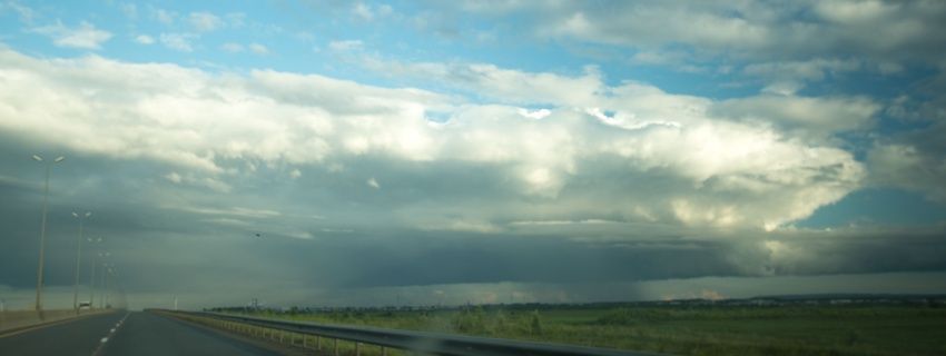 Каникулы ботаников