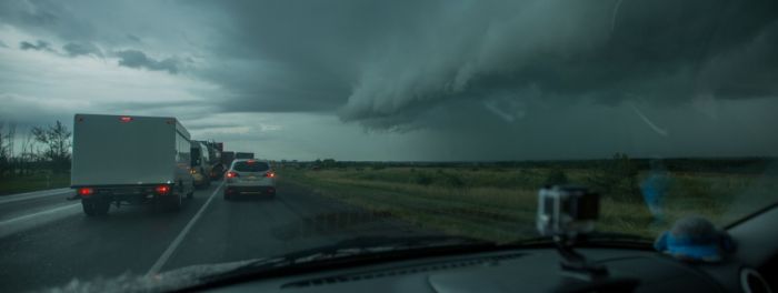 Каникулы ботаников