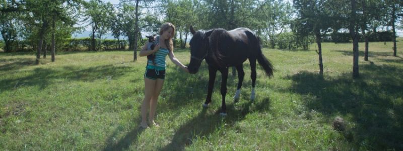Каникулы Ботаников. 21.07.2014. Красноярск-Тулун