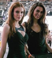 Детройт-2015: самые красивые девушки автошоу