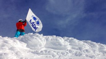 Проект "Дикари"