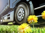 Концерн Continental представил шины из одуванчиков